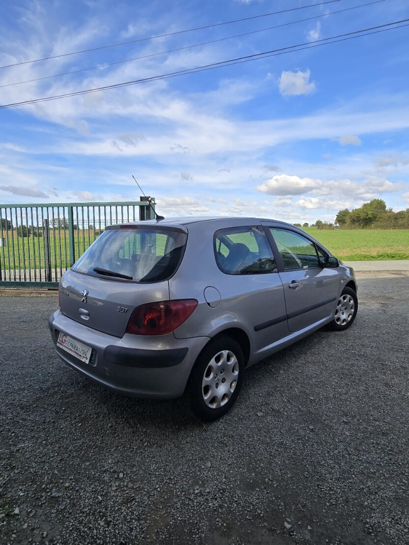 Peugeot 307 – 1.4i - 2005 – Image 3